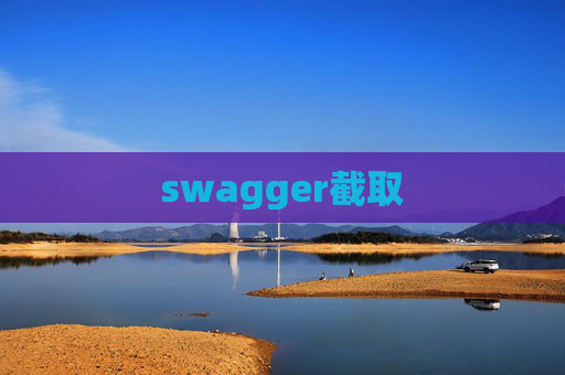 swagger截取
